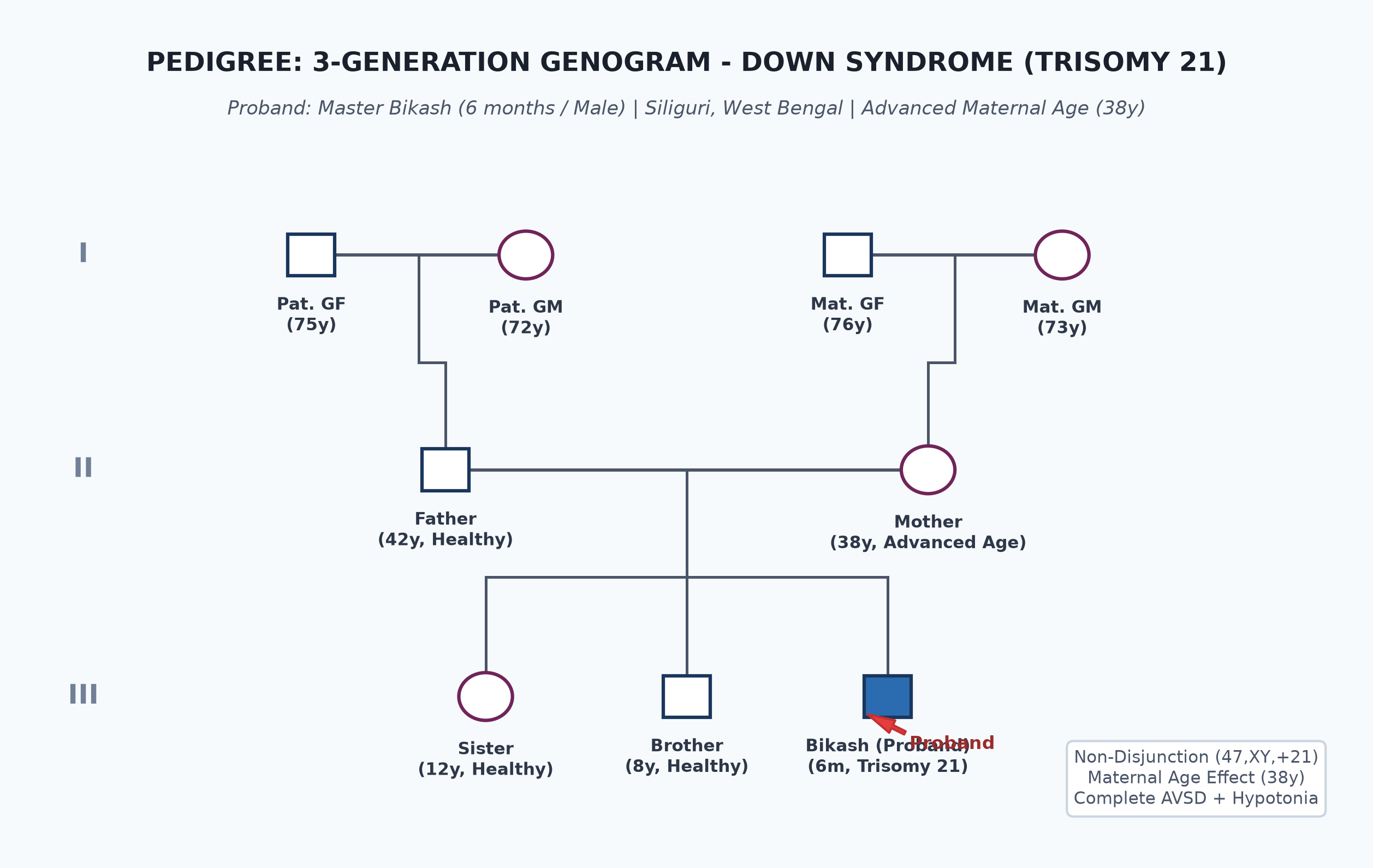 pedigree_down_bikash.png