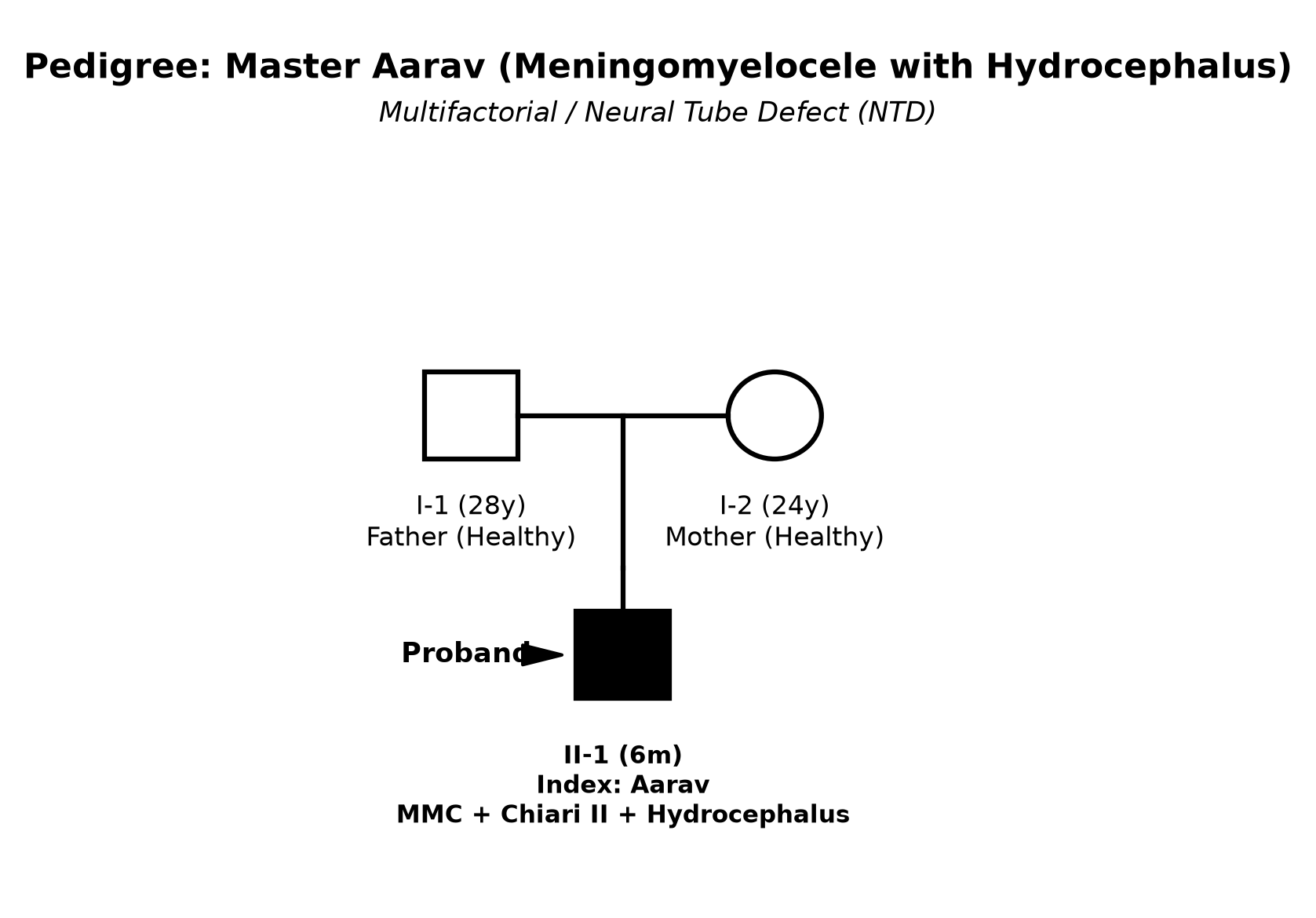 pedigree_hydrocephalus_aarav.png
