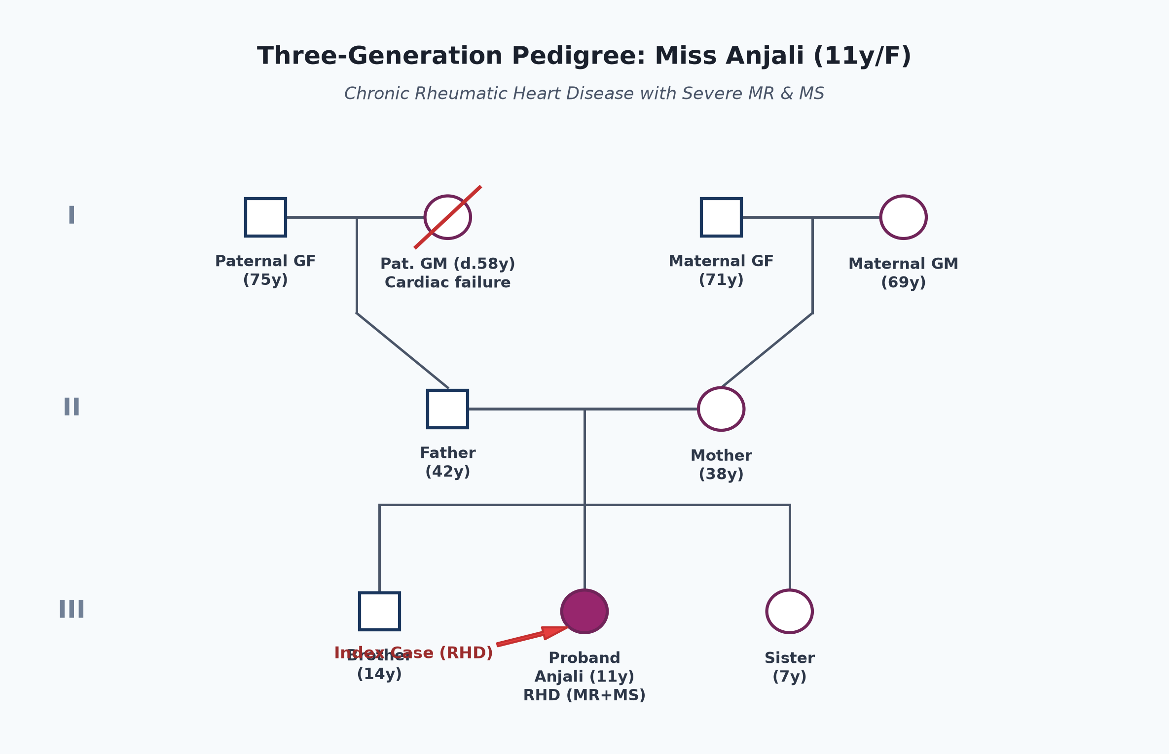 pedigree_rhd_anjali.png