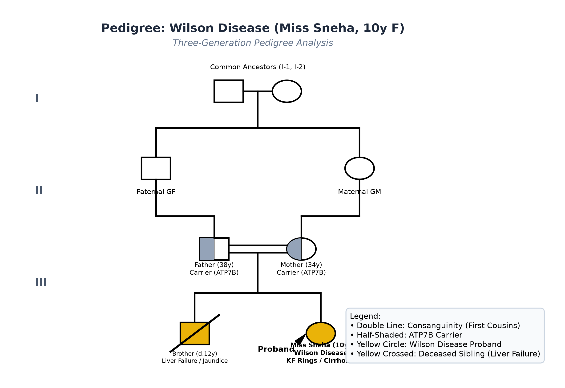 pedigree_wilson_sneha.png